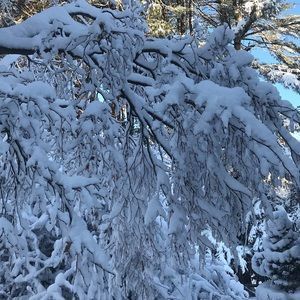 Meet your Posher, Judy